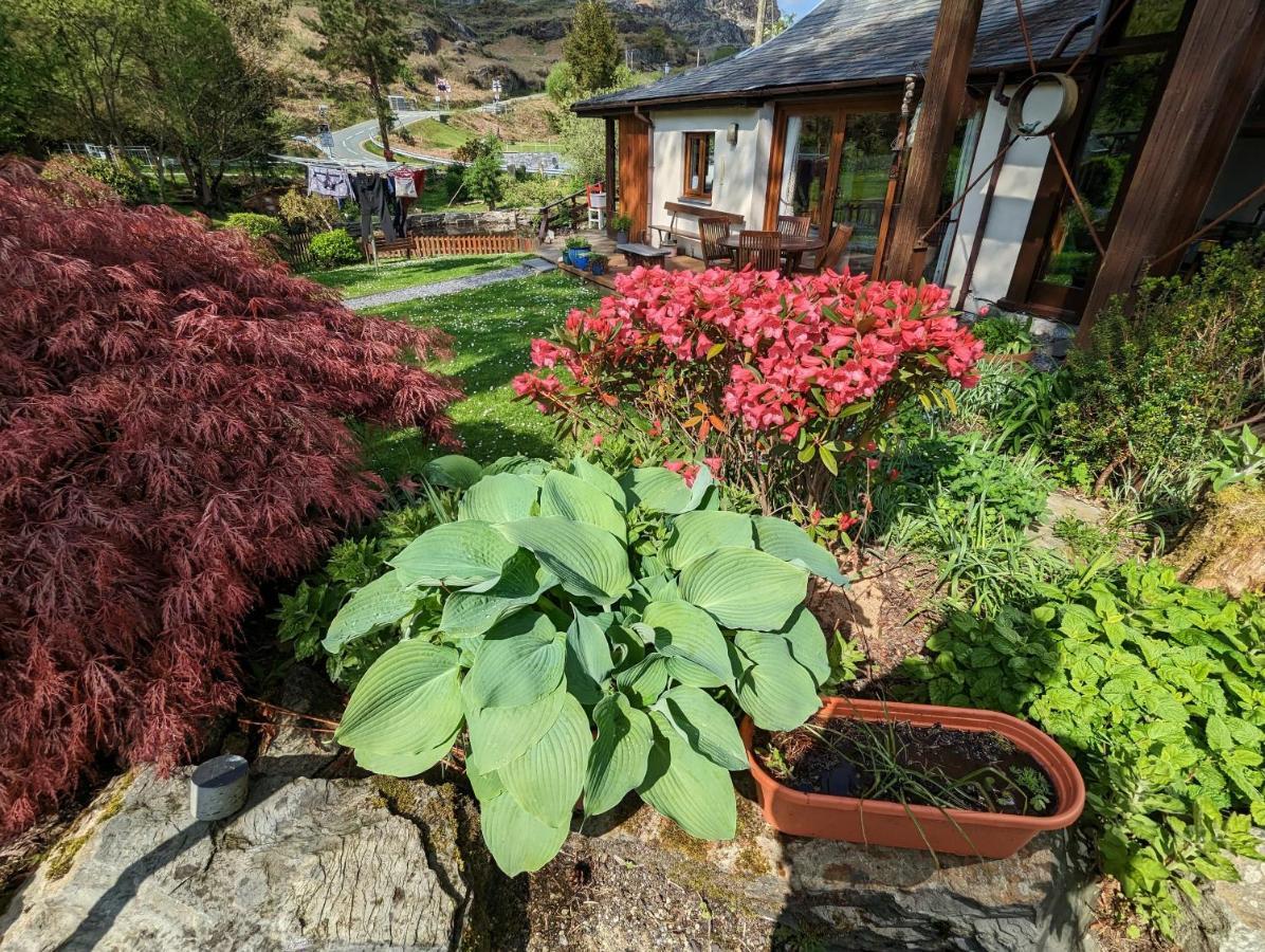 Bryn Elltyd Eco House Guest House Blaenau Ffestiniog Exterior photo